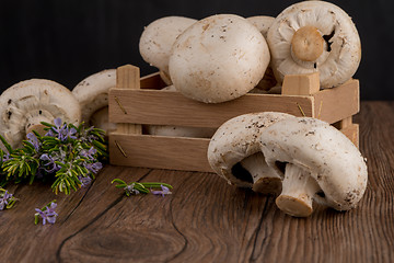 Image showing Champignons in a wooden box