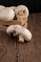 Image showing Champignons in a wooden box