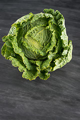 Image showing Savoy cabbage