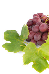 Image showing Bunch of red grapes