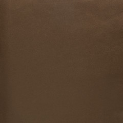 Image showing Brown leather