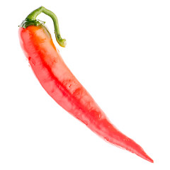 Image showing Red chilli pepper