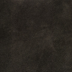 Image showing Brown leather