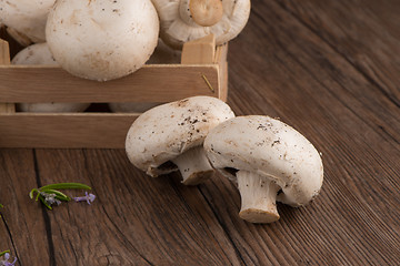 Image showing Champignons in a wooden box