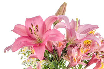 Image showing Pink lilies