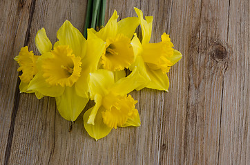 Image showing Jonquil flowers