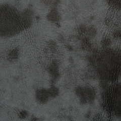 Image showing Grey leather texture closeup