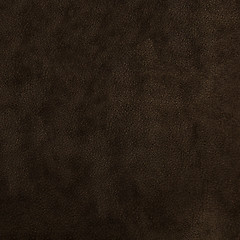 Image showing Brown leather