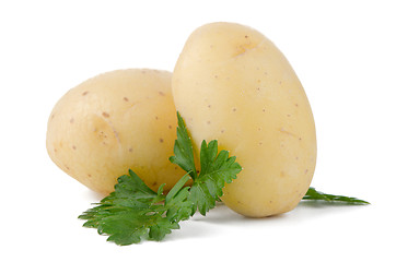 Image showing New potatoes and green parsley