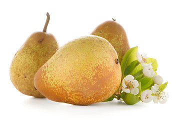 Image showing Three ripe pears