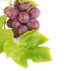 Image showing Bunch of red grapes