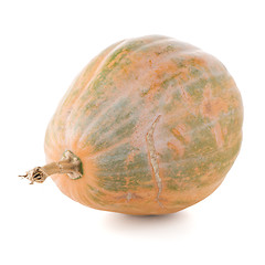 Image showing Calabash pumpkin