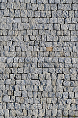 Image showing Cobbled pavement