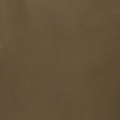 Image showing Green leather