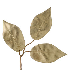 Image showing Christmas decorative golden leaves