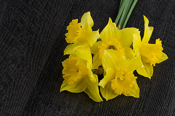 Image showing Yellow jonquil flowers