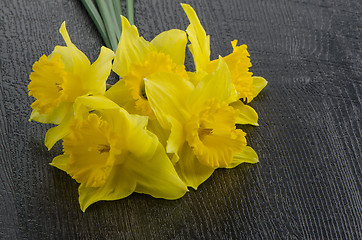 Image showing Yellow jonquil flowers