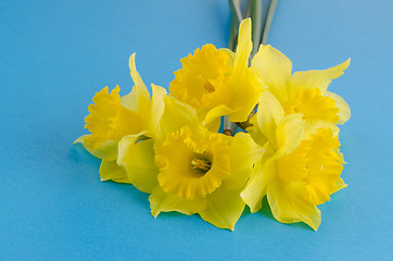 Image showing Jonquil flowers