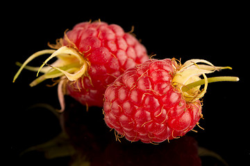 Image showing Fresh raspberries