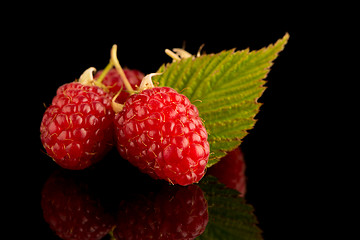 Image showing Fresh raspberries