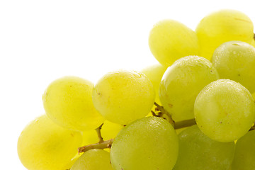 Image showing Green grapes