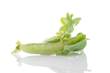 Image showing Fresh green pea pod