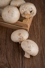 Image showing Champignons in a wooden box