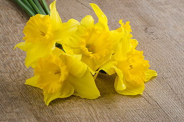 Image showing Jonquil flowers