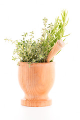 Image showing Green herb leafs 