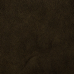 Image showing Brown leather