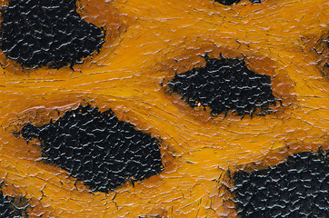 Image showing Leopard pattern texture closeup