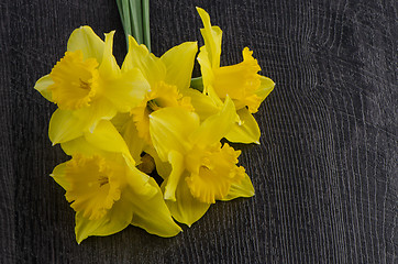 Image showing Yellow jonquil flowers