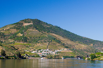 Image showing Vineyars in Douro Valley