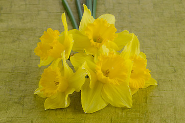 Image showing Jonquil flowers