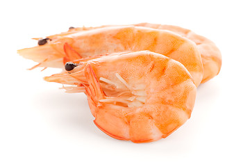 Image showing Three shrimps 