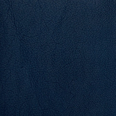 Image showing Blue leather 