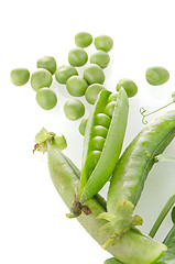 Image showing Fresh green pea pod