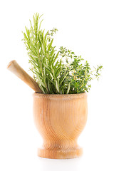 Image showing Green herb leafs 