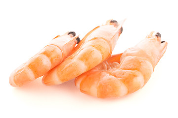 Image showing Three shrimps 