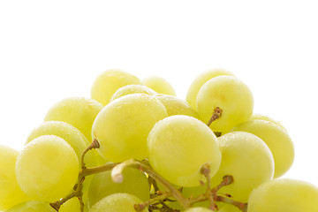 Image showing Green grapes