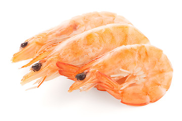 Image showing Three shrimps 