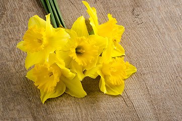 Image showing Jonquil flowers