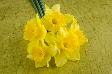 Image showing Jonquil flowers