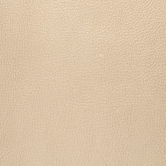 Image showing Beige leather