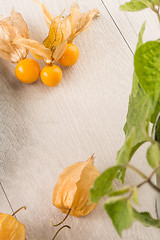 Image showing Physalis fruits