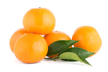 Image showing Ripe tangerine or mandarin