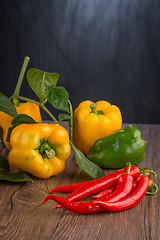 Image showing Colored bell peppers
