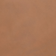 Image showing Brown leather