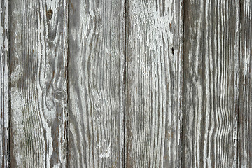 Image showing Wood old wall background