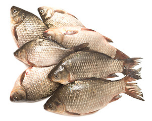 Image showing fresh fish